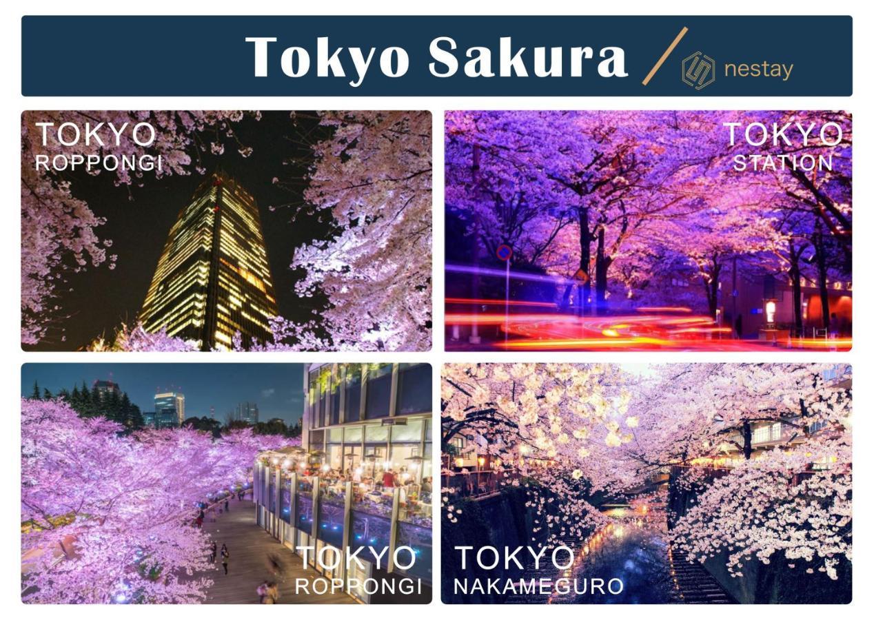 Nestay Inn Tokyo Otsuka 201 ภายนอก รูปภาพ