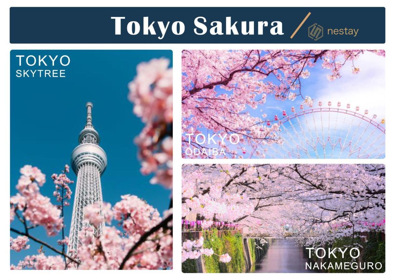 Nestay Inn Tokyo Otsuka 201 ภายนอก รูปภาพ